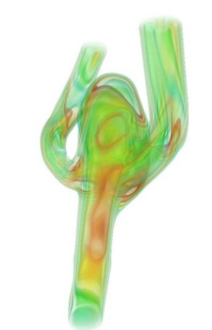 CFD-Ruptur2