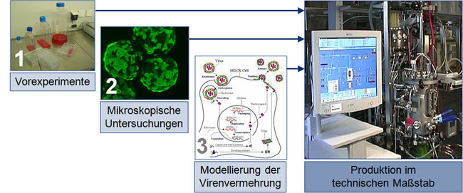 Forschung8